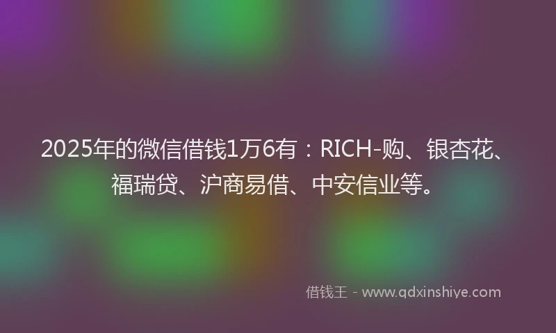 2025年的微信借钱1万6有：RICH-购、银杏花、福瑞贷、沪商易借、中安信业等。