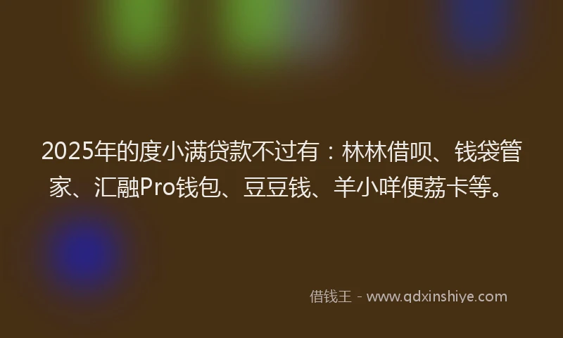2025年的度小满贷款不过有：林林借呗、钱袋管家、汇融Pro钱包、豆豆钱、羊小咩便荔卡等。