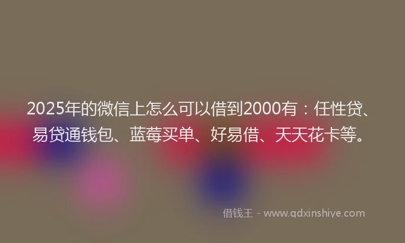 2025年的微信上怎么可以借到2000有：任性贷、易贷通钱包、蓝莓买单、好易借、天天花卡等。