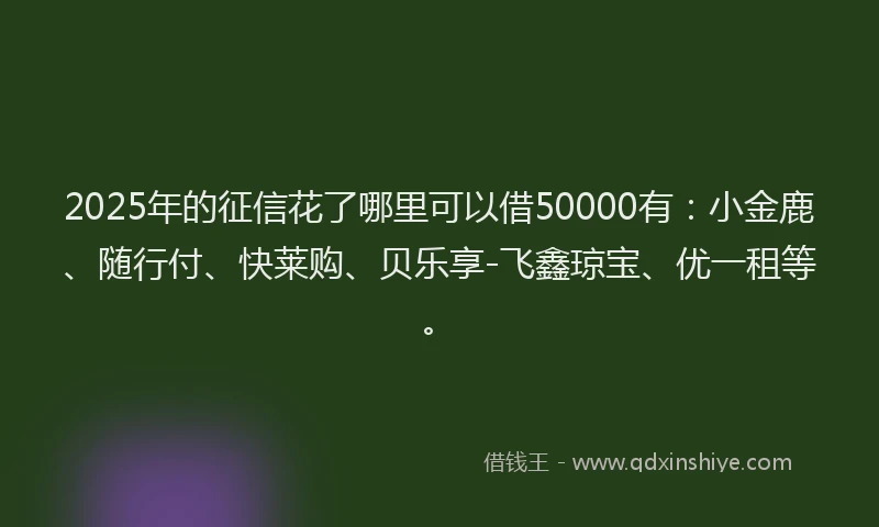 2025年的征信花了哪里可以借50000有：小金鹿、随行付、快莱购、贝乐享-飞鑫琼宝、优一租等。