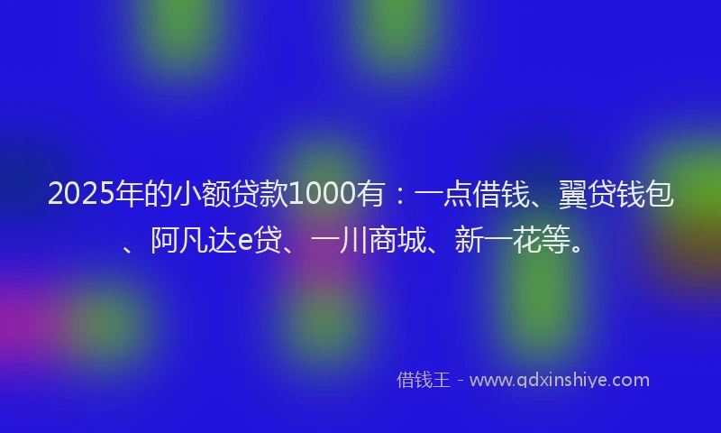 2025年的小额贷款1000有：一点借钱、翼贷钱包、阿凡达e贷、一川商城、新一花等。