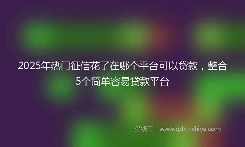 2025年热门征信花了在哪个平台可以贷款，整合5个简单容易贷款平台