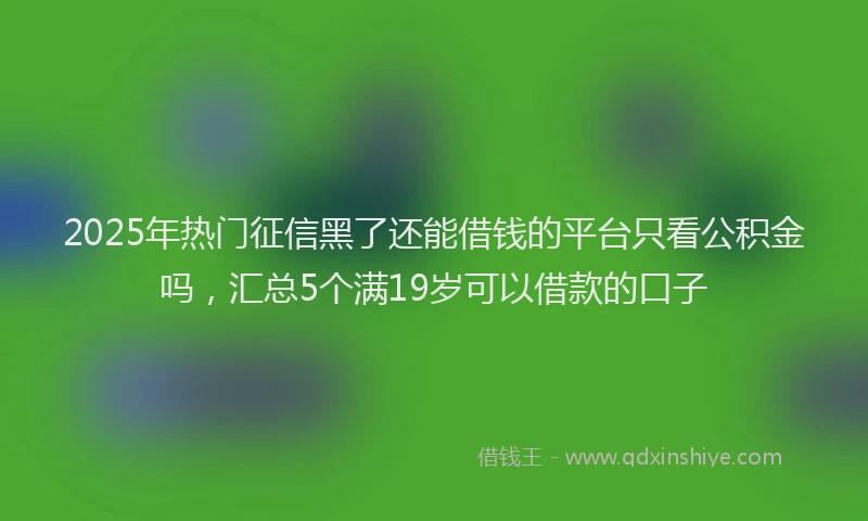 2025年热门征信黑了还能借钱的平台只看公积金吗，汇总5个满19岁可以借款的口子