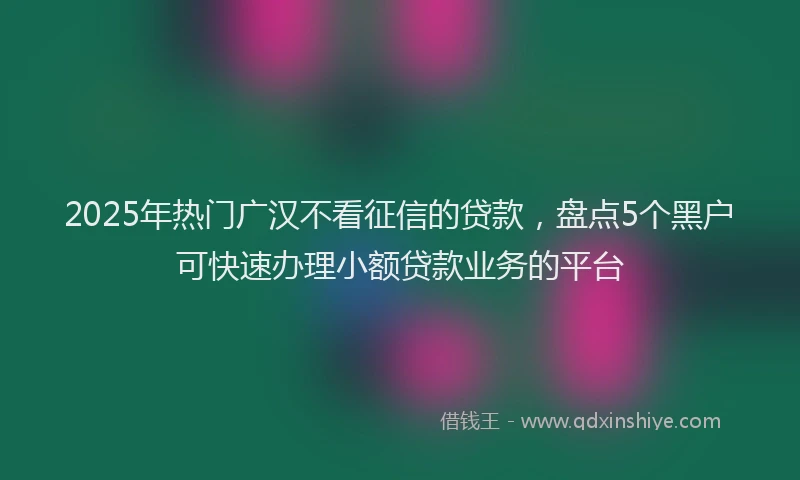 2025年热门广汉不看征信的贷款，盘点5个黑户可快速办理小额贷款业务的平台