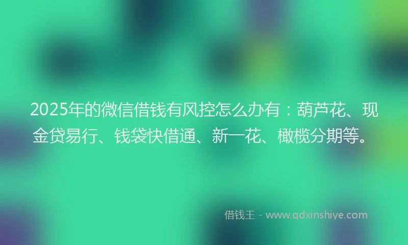 2025年的微信借钱有风控怎么办有：葫芦花、现金贷易行、钱袋快借通、新一花、橄榄分期等。