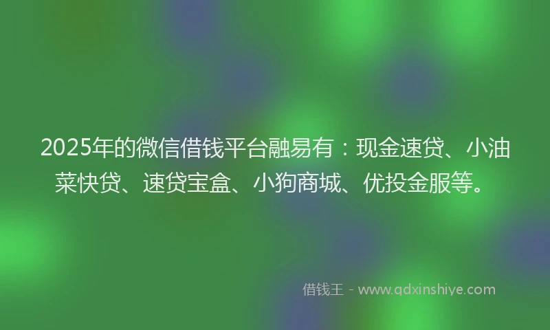 2025年的微信借钱平台融易有:现金速贷、小油菜快贷、速贷宝盒、小狗商城、优投金服等。