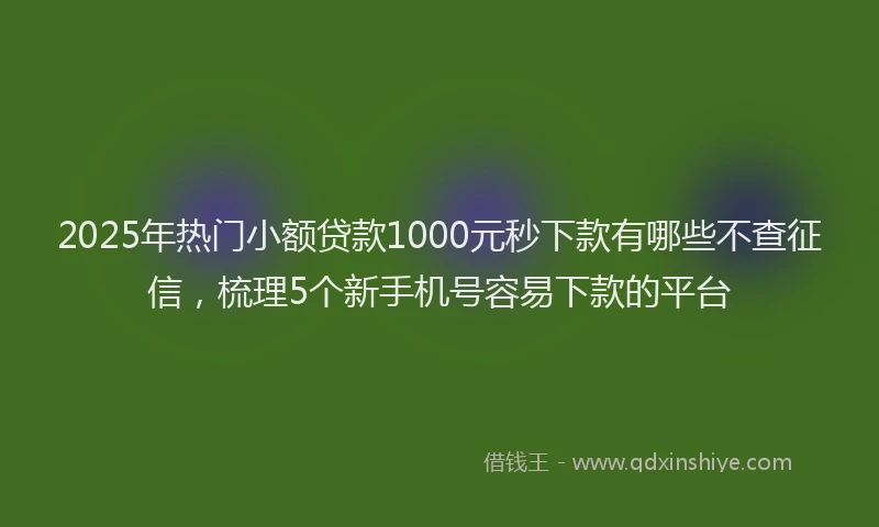 2025年热门小额贷款1000元秒下款有哪些不查征信，梳理5个新手机号容易下款的平台