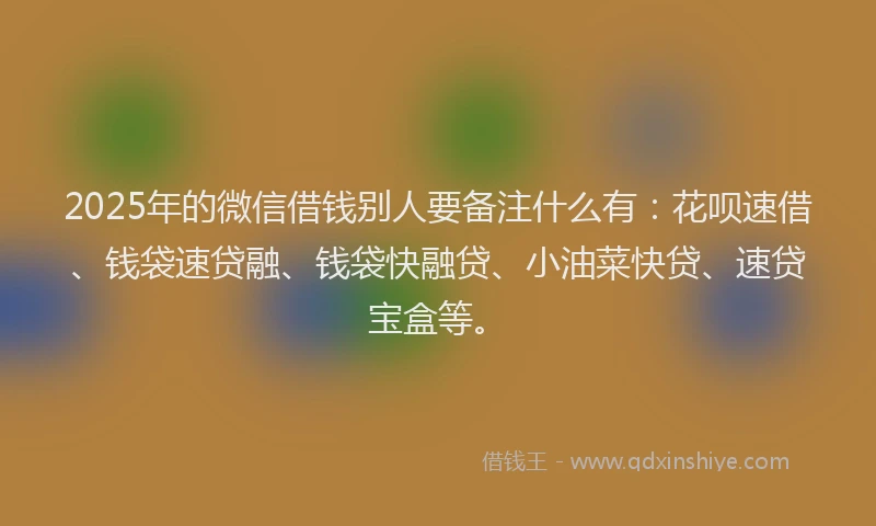 2025年的微信借钱别人要备注什么有：花呗速借、钱袋速贷融、钱袋快融贷、小油菜快贷、速贷宝盒等。