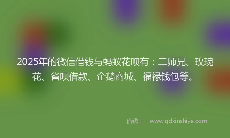 2025年的微信借钱与蚂蚁花呗有：二师兄、玫瑰花、省呗借款、企鹅商城、福禄钱包等。