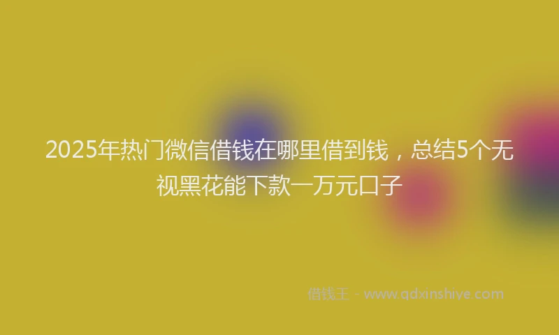 2025年热门微信借钱在哪里借到钱，总结5个无视黑花能下款一万元口子