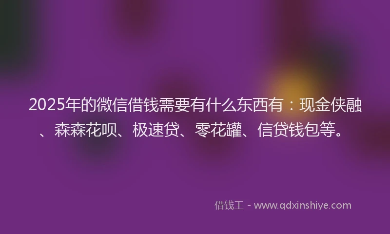 2025年的微信借钱需要有什么东西有：现金侠融、森森花呗、极速贷、零花罐、信贷钱包等。