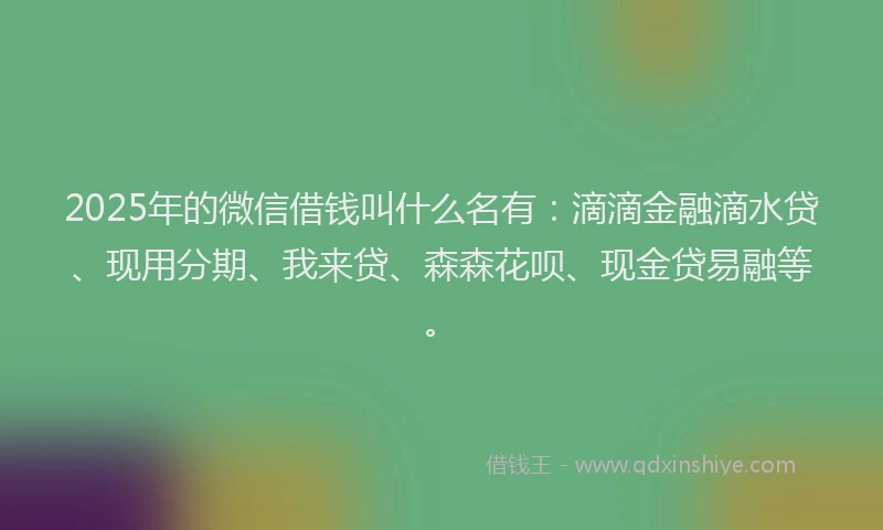 2025年的微信借钱叫什么名有：滴滴金融滴水贷、现用分期、我来贷、森森花呗、现金贷易融等。