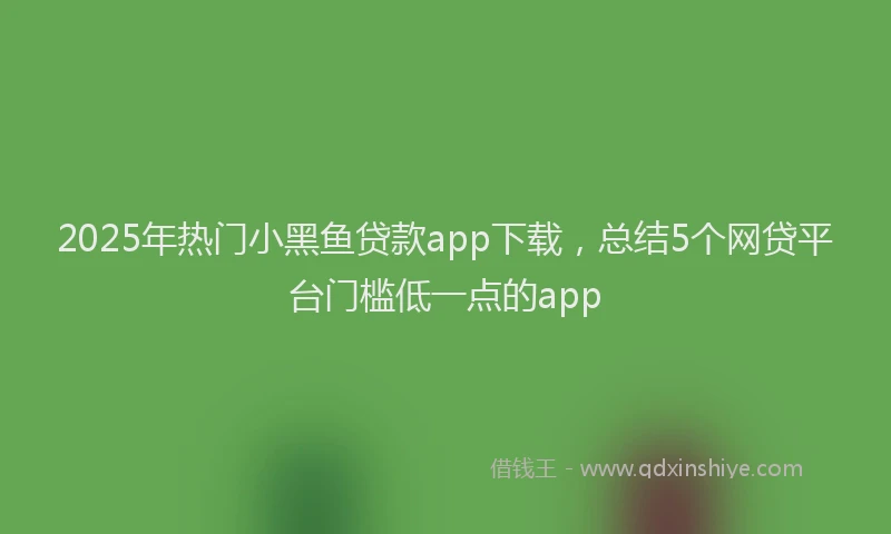 2025年热门小黑鱼贷款app下载，总结5个网贷平台门槛低一点的app