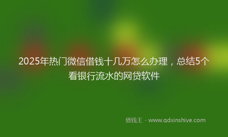 2025年热门微信借钱十几万怎么办理，总结5个看银行流水的网贷软件