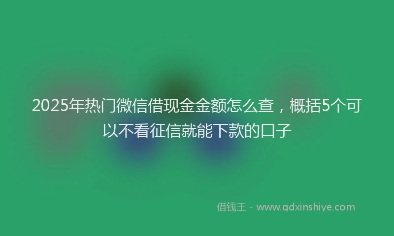 2025年热门微信借现金金额怎么查，概括5个可以不看征信就能下款的口子