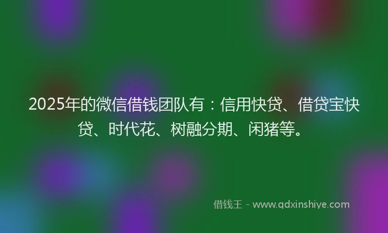 2025年的微信借钱团队有：信用快贷、借贷宝快贷、时代花、树融分期、闲猪等。