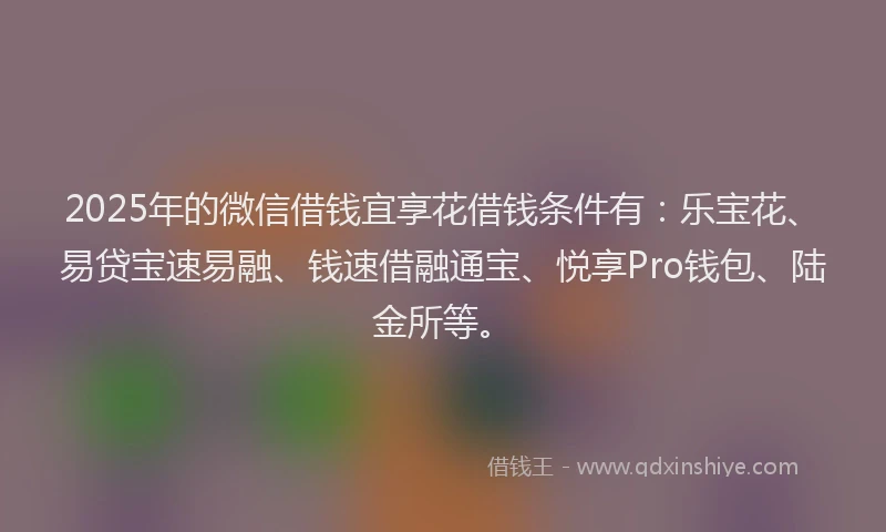 2025年的微信借钱宜享花借钱条件有：乐宝花、易贷宝速易融、钱速借融通宝、悦享Pro钱包、陆金所等。