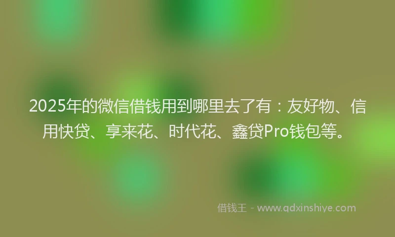 2025年的微信借钱用到哪里去了有：友好物、信用快贷、享来花、时代花、鑫贷Pro钱包等。