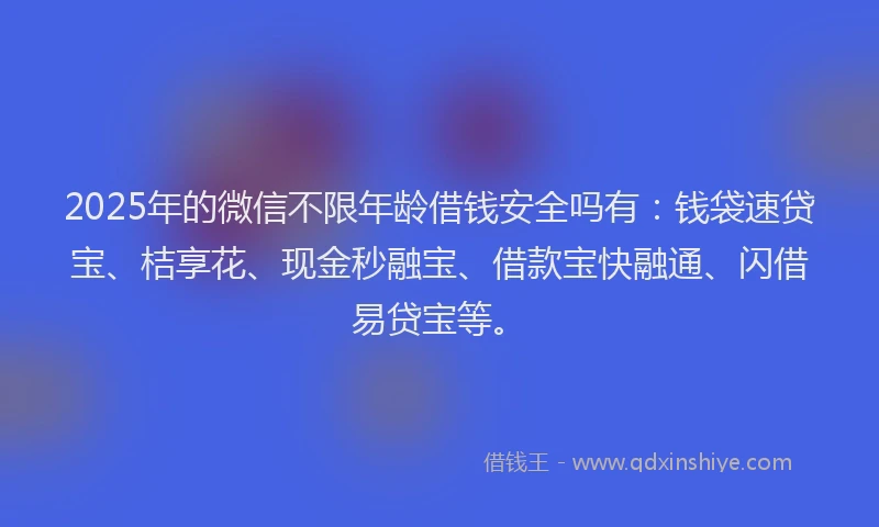 2025年的微信不限年龄借钱安全吗有：钱袋速贷宝、桔享花、现金秒融宝、借款宝快融通、闪借易贷宝等。