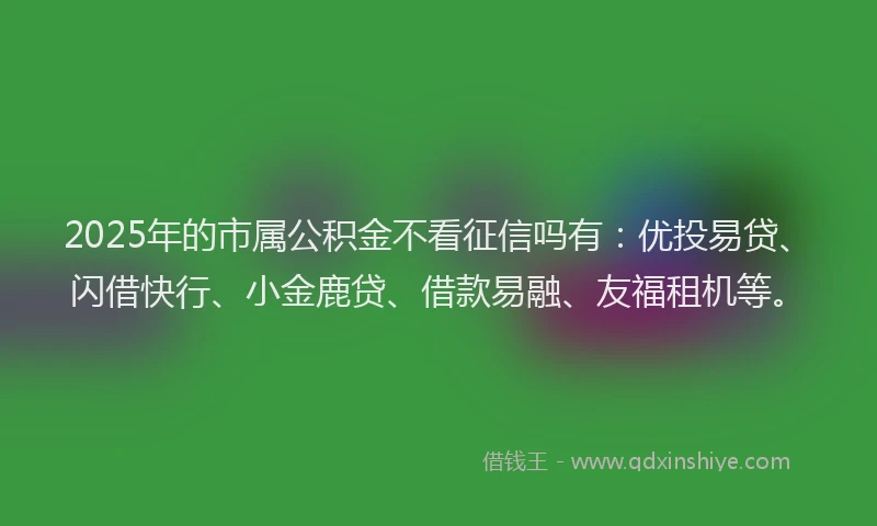 2025年的市属公积金不看征信吗有：优投易贷、闪借快行、小金鹿贷、借款易融、友福租机等。