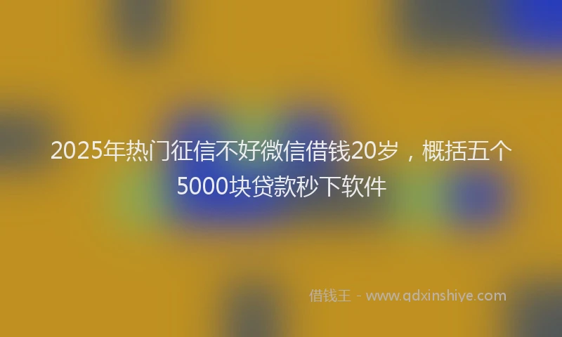 2025年热门征信不好微信借钱20岁，概括五个5000块贷款秒下软件