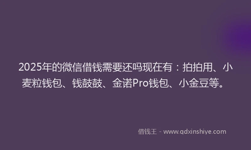 2025年的微信借钱需要还吗现在有：拍拍用、小麦粒钱包、钱鼓鼓、金诺Pro钱包、小金豆等。