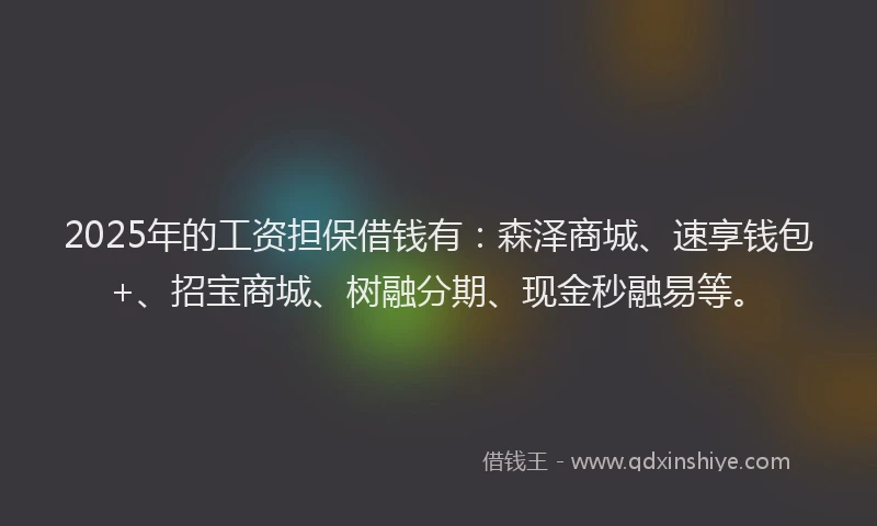 2025年的工资担保借钱有：森泽商城、速享钱包+、招宝商城、树融分期、现金秒融易等。