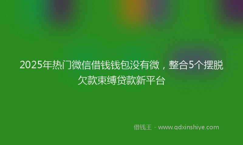 2025年热门微信借钱钱包没有微，整合5个摆脱欠款束缚贷款新平台