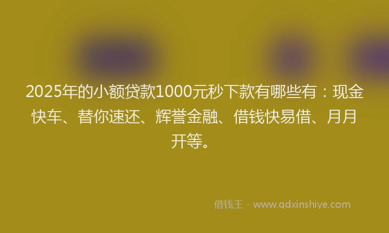2025年的小额贷款1000元秒下款有哪些有：现金快车、替你速还、辉誉金融、借钱快易借、月月开等。