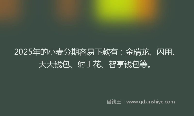2025年的小麦分期容易下款有：金瑞龙、闪用、天天钱包、射手花、智享钱包等。