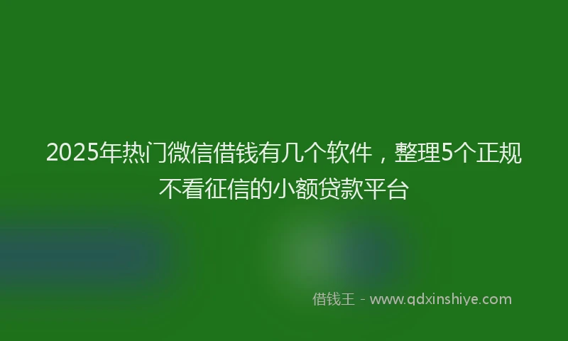 2025年热门微信借钱有几个软件，整理5个正规不看征信的小额贷款平台
