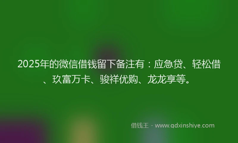 2025年的微信借钱留下备注有：应急贷、轻松借、玖富万卡、骏祥优购、龙龙享等。