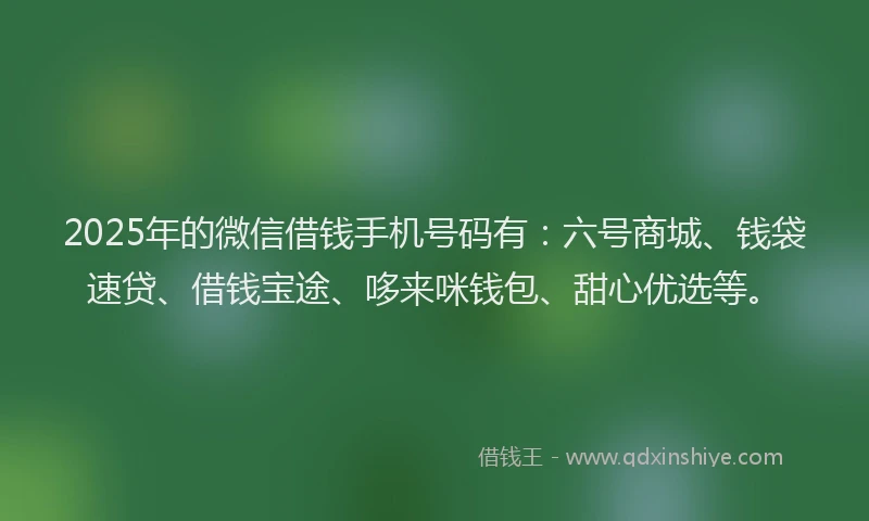 2025年的微信借钱手机号码有：六号商城、钱袋速贷、借钱宝途、哆来咪钱包、甜心优选等。