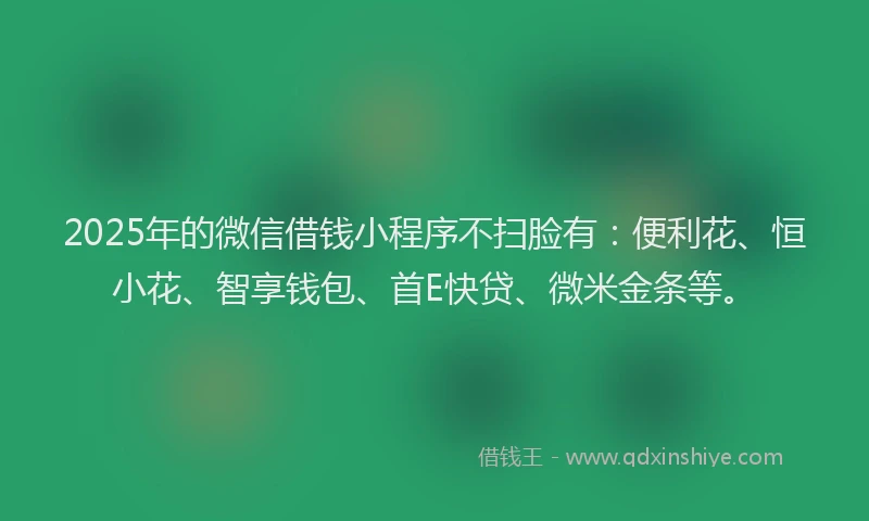 2025年的微信借钱小程序不扫脸有：便利花、恒小花、智享钱包、首E快贷、微米金条等。