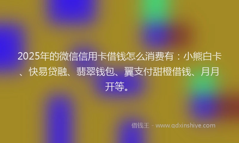 2025年的微信信用卡借钱怎么消费有：小熊白卡、快易贷融、翡翠钱包、翼支付甜橙借钱、月月开等。