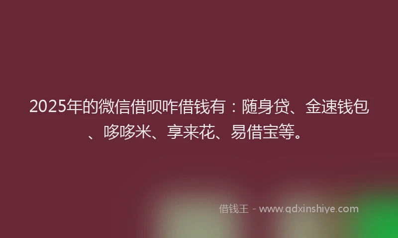 2025年的微信借呗咋借钱有：随身贷、金速钱包、哆哆米、享来花、易借宝等。
