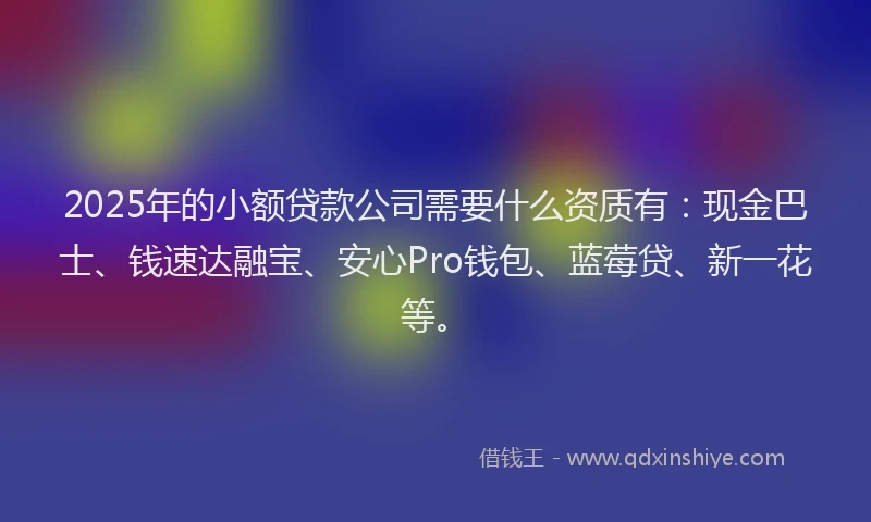 2025年的小额贷款公司需要什么资质有：现金巴士、钱速达融宝、安心Pro钱包、蓝莓贷、新一花等。