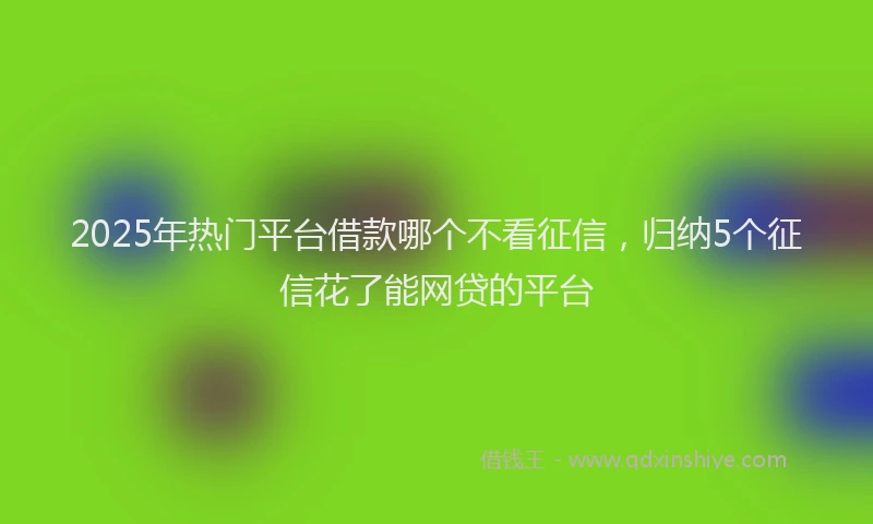 2025年热门平台借款哪个不看征信，归纳5个征信花了能网贷的平台