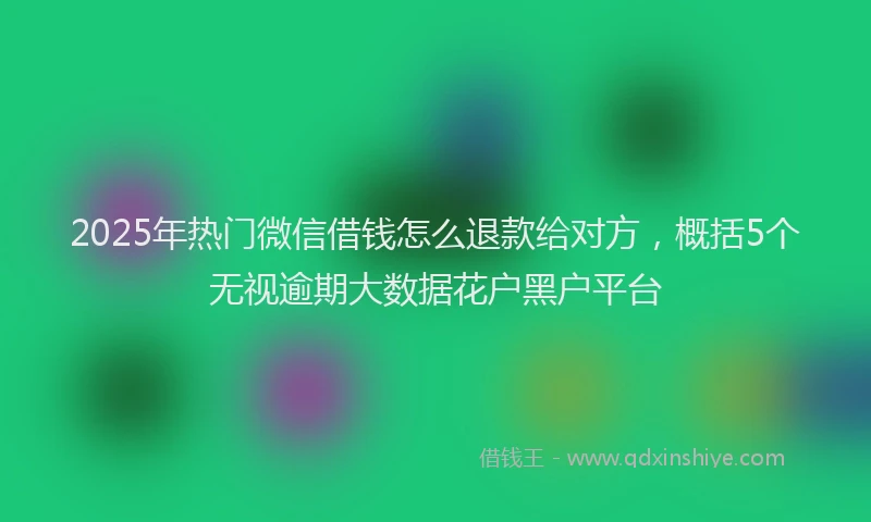 2025年热门微信借钱怎么退款给对方，概括5个无视逾期大数据花户黑户平台