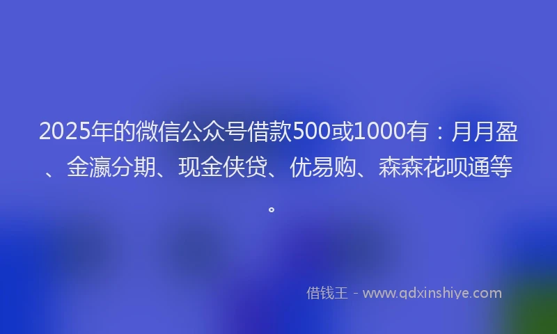 2025年的微信公众号借款500或1000有：月月盈、金瀛分期、现金侠贷、优易购、森森花呗通等。