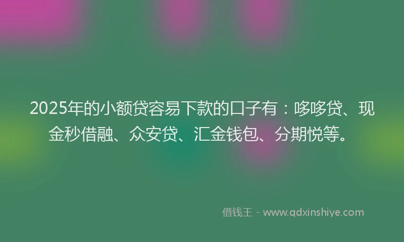 2025年的小额贷容易下款的口子有：哆哆贷、现金秒借融、众安贷、汇金钱包、分期悦等。