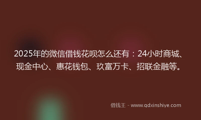 2025年的微信借钱花呗怎么还有：24小时商城、现金中心、惠花钱包、玖富万卡、招联金融等。