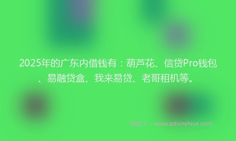 2025年的广东内借钱有：葫芦花、信贷Pro钱包、易融贷盒、我来易贷、老哥租机等。