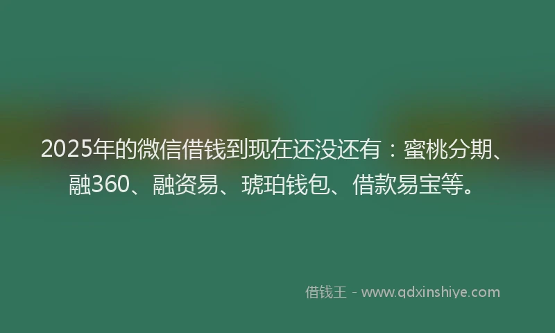 2025年的微信借钱到现在还没还有：蜜桃分期、融360、融资易、琥珀钱包、借款易宝等。