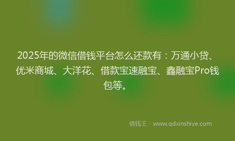 2025年的微信借钱平台怎么还款有:万通小贷、优米商城、大洋花、借款宝速融宝、鑫融宝Pro钱包等。