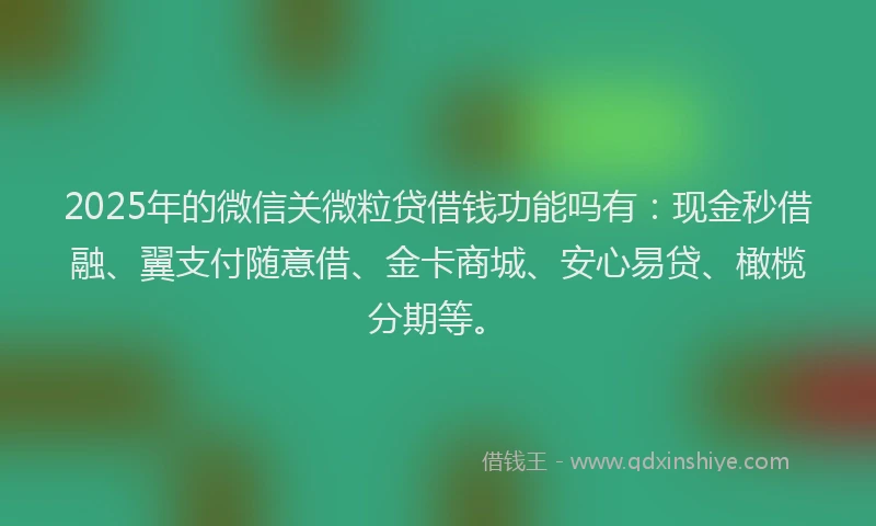 2025年的微信关微粒贷借钱功能吗有：现金秒借融、翼支付随意借、金卡商城、安心易贷、橄榄分期等。