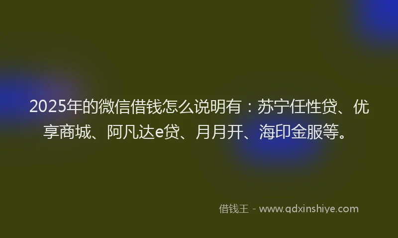 2025年的微信借钱怎么说明有：苏宁任性贷、优享商城、阿凡达e贷、月月开、海印金服等。
