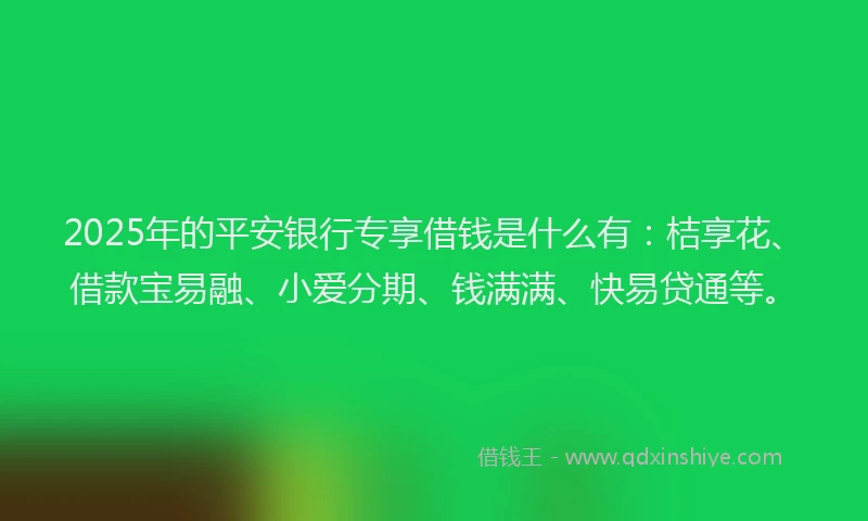 2025年的平安银行专享借钱是什么有：桔享花、借款宝易融、小爱分期、钱满满、快易贷通等。