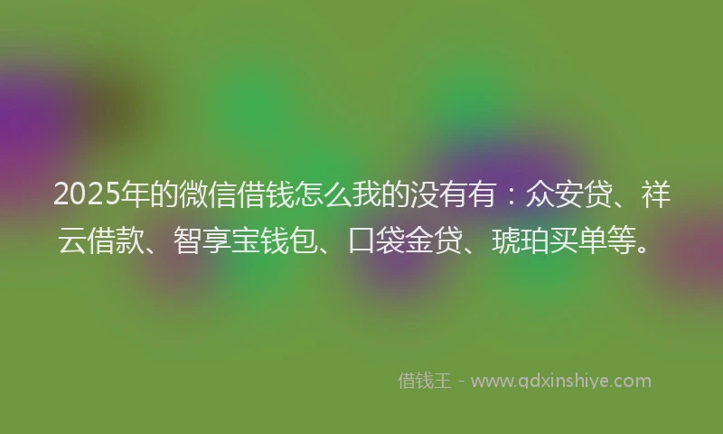 2025年的微信借钱怎么我的没有有：众安贷、祥云借款、智享宝钱包、口袋金贷、琥珀买单等。
