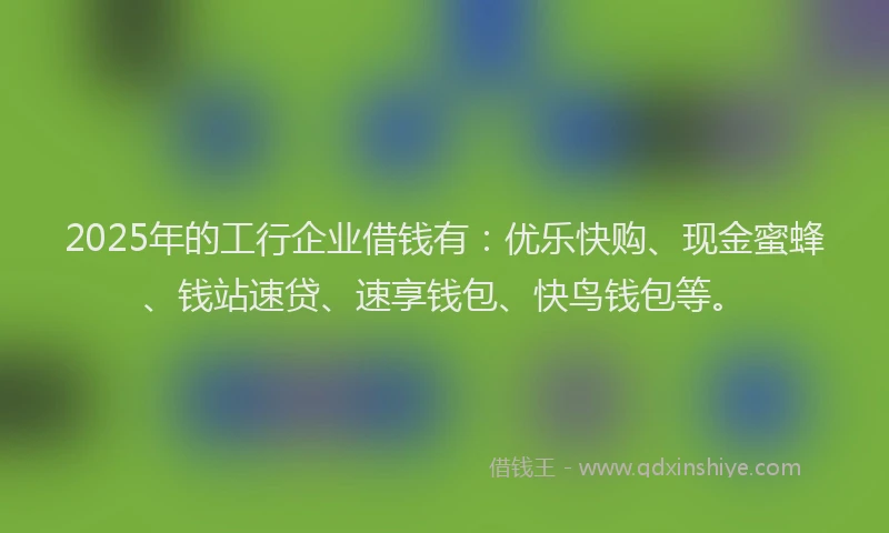 2025年的工行企业借钱有：优乐快购、现金蜜蜂、钱站速贷、速享钱包、快鸟钱包等。